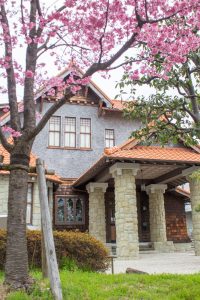 文化のみち二葉館、オオカンザクラ並木道、2月春の花、名古屋市東区の観光・撮影スポットの名所