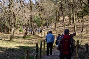 可児川下流域自然公園、 カタクリ群生地、鳩吹山、3月春の花、岐阜県可児市の観光・撮影スポットの名所