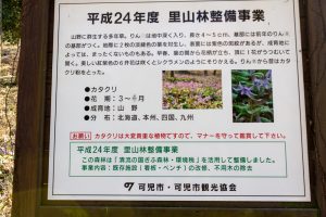可児川下流域自然公園、 カタクリ群生地、鳩吹山、3月春の花、岐阜県可児市の観光・撮影スポットの名所