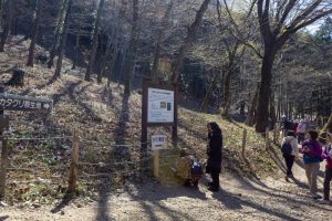 可児川下流域自然公園、 カタクリ群生地、鳩吹山、3月春の花、岐阜県可児市の観光・撮影スポットの名所