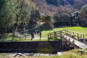 可児川下流域自然公園、 カタクリ群生地、鳩吹山、3月春の花、岐阜県可児市の観光・撮影スポットの名所