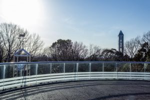 東山植物園、2月の春の花、名古屋市千種区の観光・撮影スポットの画像と写真