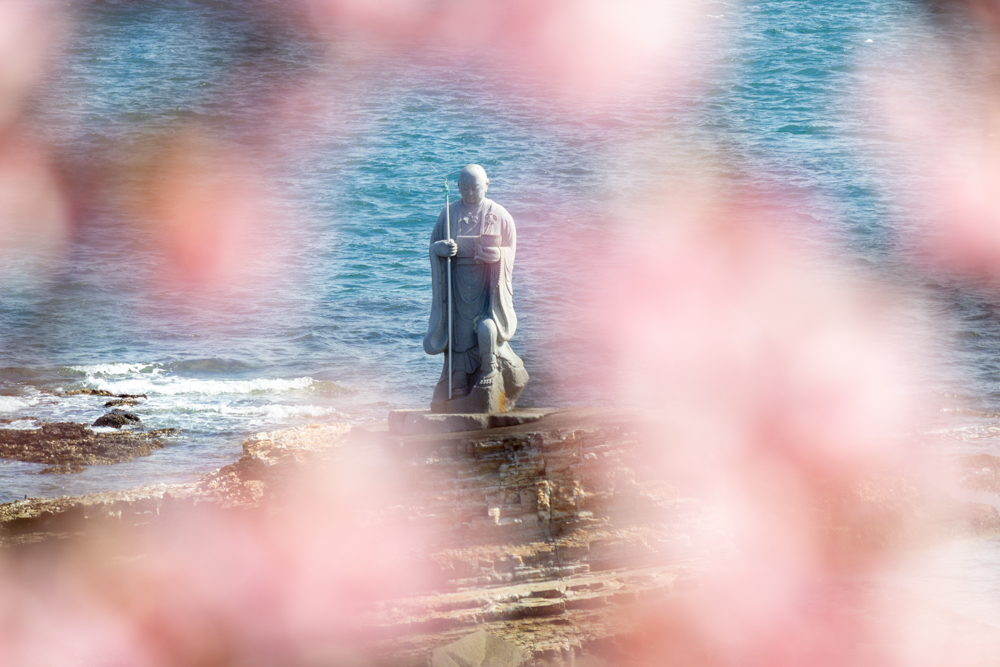 聖崎公園、河津桜、弘法大師、2月春の花、愛知県知多郡の観光・撮影スポットの画像と写真