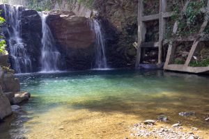 石巻西川カタクリ山、郷道の滝公園、3月春の花、愛知県豊橋市の観光・撮影スポットの画像と写真