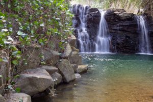 石巻西川カタクリ山、郷道の滝公園、3月春の花、愛知県豊橋市の観光・撮影スポットの画像と写真