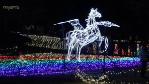 木曽三川公園センター、イルミネーション、12月冬、岐阜県海津市の観光・撮影スポットの画像と写真