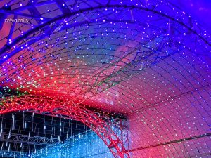 木曽三川公園センター、イルミネーション、12月冬、岐阜県海津市の観光・撮影スポットの画像と写真