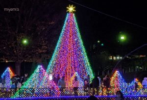 木曽三川公園センター、イルミネーション、12月冬、岐阜県海津市の観光・撮影スポットの画像と写真
