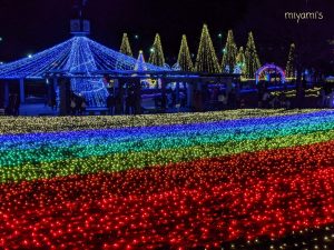 木曽三川公園センター、イルミネーション、12月冬、岐阜県海津市の観光・撮影スポットの画像と写真