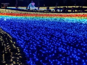 木曽三川公園センター、イルミネーション、12月冬、岐阜県海津市の観光・撮影スポットの画像と写真