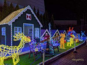 木曽三川公園センター、イルミネーション、12月冬、岐阜県海津市の観光・撮影スポットの画像と写真
