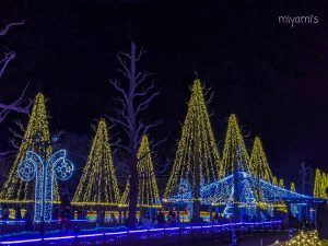 木曽三川公園センター、イルミネーション、12月冬、岐阜県海津市の観光・撮影スポットの画像と写真