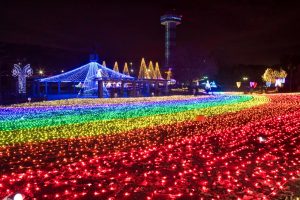 木曽三川公園センター、イルミネーション、12月冬、岐阜県海津市の観光・撮影スポットの画像と写真