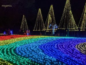 木曽三川公園センター、イルミネーション、12月冬、岐阜県海津市の観光・撮影スポットの画像と写真