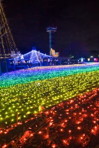 木曽三川公園センター、イルミネーション、12月冬、岐阜県海津市の観光・撮影スポットの画像と写真