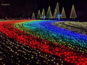 木曽三川公園センター、イルミネーション、12月冬、岐阜県海津市の観光・撮影スポットの画像と写真