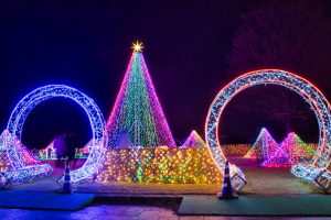 木曽三川公園センター、イルミネーション、12月冬、岐阜県海津市の観光・撮影スポットの画像と写真