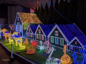 木曽三川公園センター、イルミネーション、12月冬、岐阜県海津市の観光・撮影スポットの画像と写真