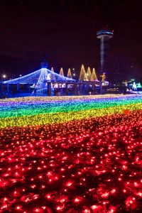 木曽三川公園センター、イルミネーション、12月冬、岐阜県海津市の観光・撮影スポットの画像と写真