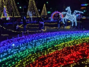 木曽三川公園センター、イルミネーション、12月冬、岐阜県海津市の観光・撮影スポットの画像と写真