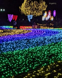 木曽三川公園センター、イルミネーション、12月冬、岐阜県海津市の観光・撮影スポットの画像と写真