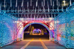 木曽三川公園センター、イルミネーション、12月冬、岐阜県海津市の観光・撮影スポットの画像と写真