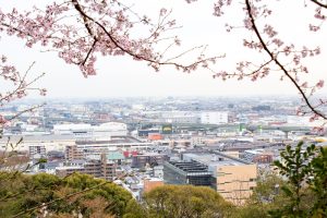 小牧山史跡公園。桜、3月春の花、愛知県小牧市の観光・撮影スポットの画像と写真