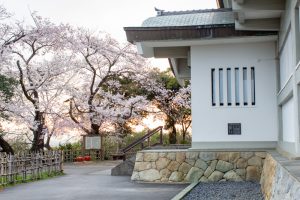 小牧山史跡公園。桜、3月春の花、愛知県小牧市の観光・撮影スポットの画像と写真