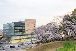 小牧山史跡公園。桜、3月春の花、愛知県小牧市の観光・撮影スポットの画像と写真