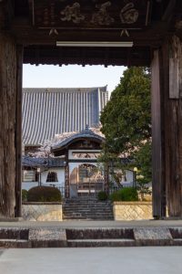 香積院、しだれ桜、3月の春の花、名古屋市昭和区の観光・撮影スポットの名所
