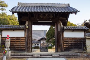 香積院、しだれ桜、3月の春の花、名古屋市昭和区の観光・撮影スポットの名所