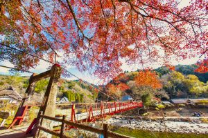 香嵐渓、紅葉、11月秋、愛知県豊田市の観光・撮影スポットの画像と写真