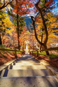 香嵐渓、紅葉、11月秋、愛知県豊田市の観光・撮影スポットの画像と写真