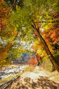 香嵐渓、紅葉、11月秋、愛知県豊田市の観光・撮影スポットの画像と写真