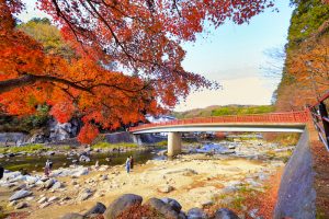 香嵐渓、紅葉、11月秋、愛知県豊田市の観光・撮影スポットの画像と写真