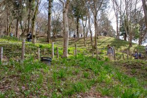 香嵐渓カタクリ群生地、飯盛山、3月春の花、愛知県豊田市の観光・撮影スポットの画像と写真
