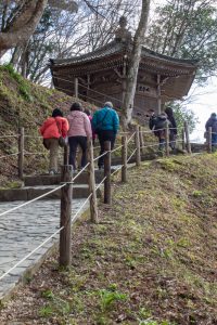 香嵐渓カタクリ群生地、飯盛山、3月春の花、愛知県豊田市の観光・撮影スポットの画像と写真
