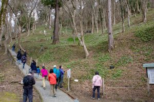 香嵐渓カタクリ群生地、飯盛山、3月春の花、愛知県豊田市の観光・撮影スポットの画像と写真