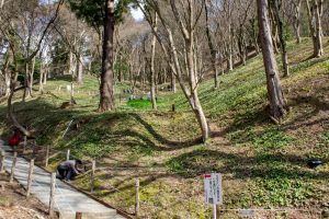 香嵐渓カタクリ群生地、飯盛山、3月春の花、愛知県豊田市の観光・撮影スポットの画像と写真