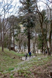 香嵐渓カタクリ群生地、飯盛山、3月春の花、愛知県豊田市の観光・撮影スポットの画像と写真