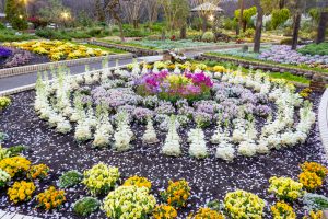 名城公園、3月の春の花、名古屋市北区の観光・撮影スポットの画像と写真
