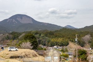 美杉ミツマタ群生地、３月春の花、三重県津市の観光・撮影スポットの名所