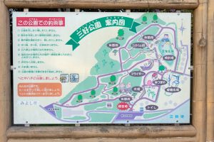 三好公園、河津桜、2月春の花、愛知県みよし市の観光・撮影スポットの画像と写真
