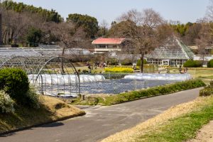 名古屋市農業センターdelaふぁーむ、3月春の花、名古屋市昭和区の観光・撮影スポットの名所