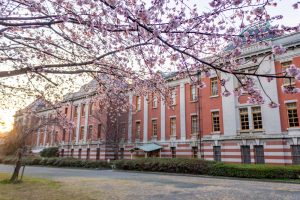 名古屋市市政資料館、 オオカンザクラ、２月春の花名古屋市東区の観光・撮影スポットの名所
