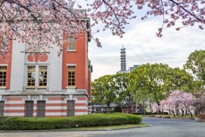 名古屋市市政資料館、 オオカンザクラ、２月春の花名古屋市東区の観光・撮影スポットの名所