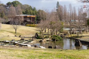 於大公園、2月の春の花、愛知県知多郡の観光・撮影スポットの名所