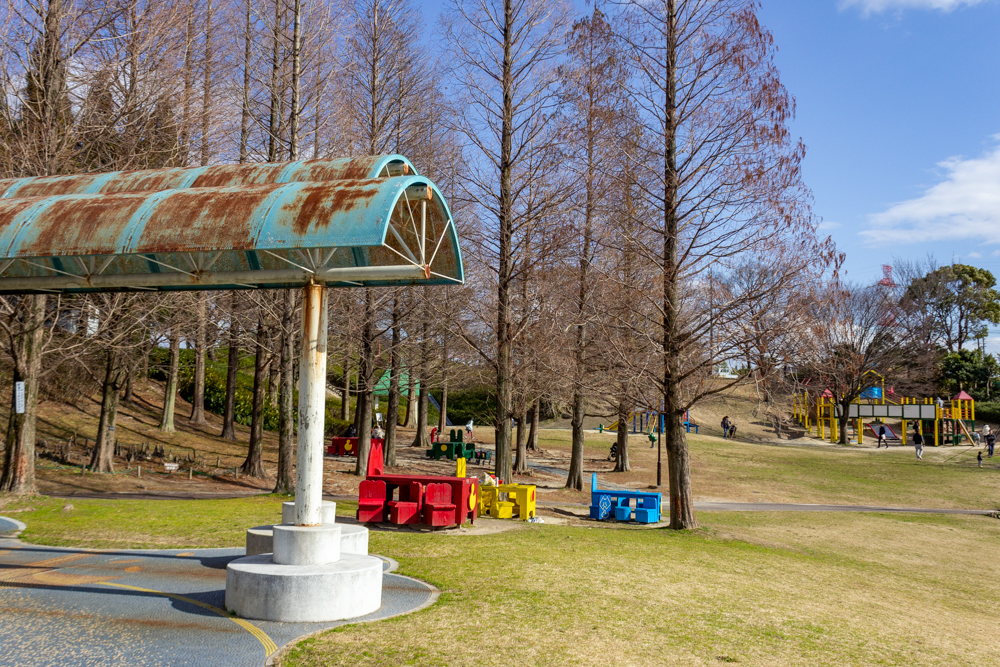 於大公園、2月の春の花、愛知県知多郡の観光・撮影スポットの名所