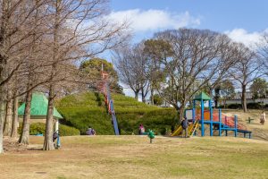 於大公園、2月の春の花、愛知県知多郡の観光・撮影スポットの名所