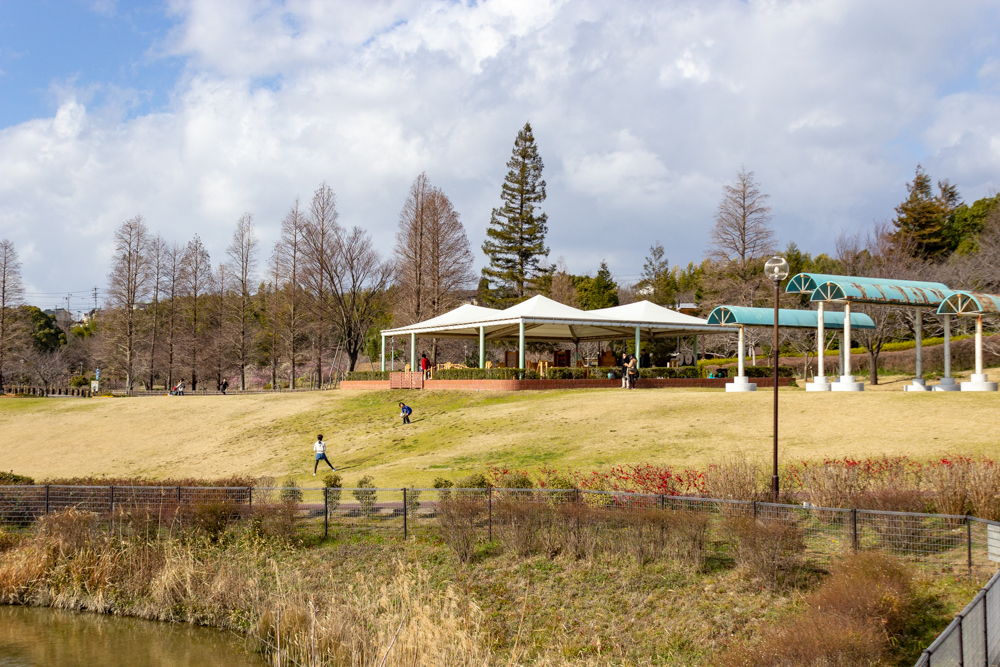 於大公園、2月の春の花、愛知県知多郡の観光・撮影スポットの名所